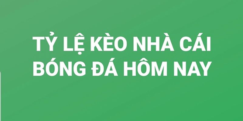 Tỷ Lệ Kèo Nhà Cái - Tìm Hiểu Chi Tiết Dành Cho Dân Cá Độ